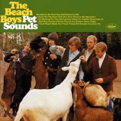 Vinyl The Beach Boys - PET SOUNDS