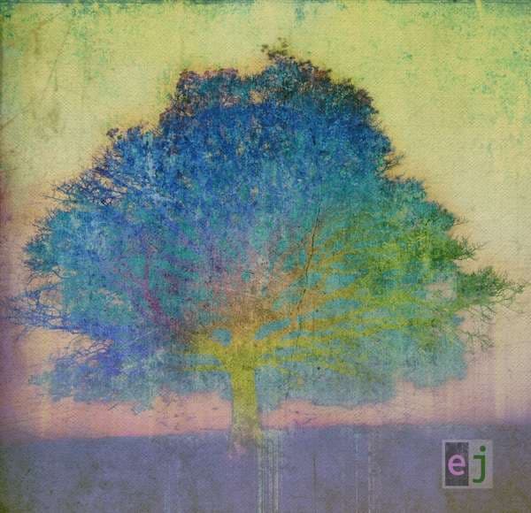 CD Eric Johnson - JOHNSON, ERIC - EJ