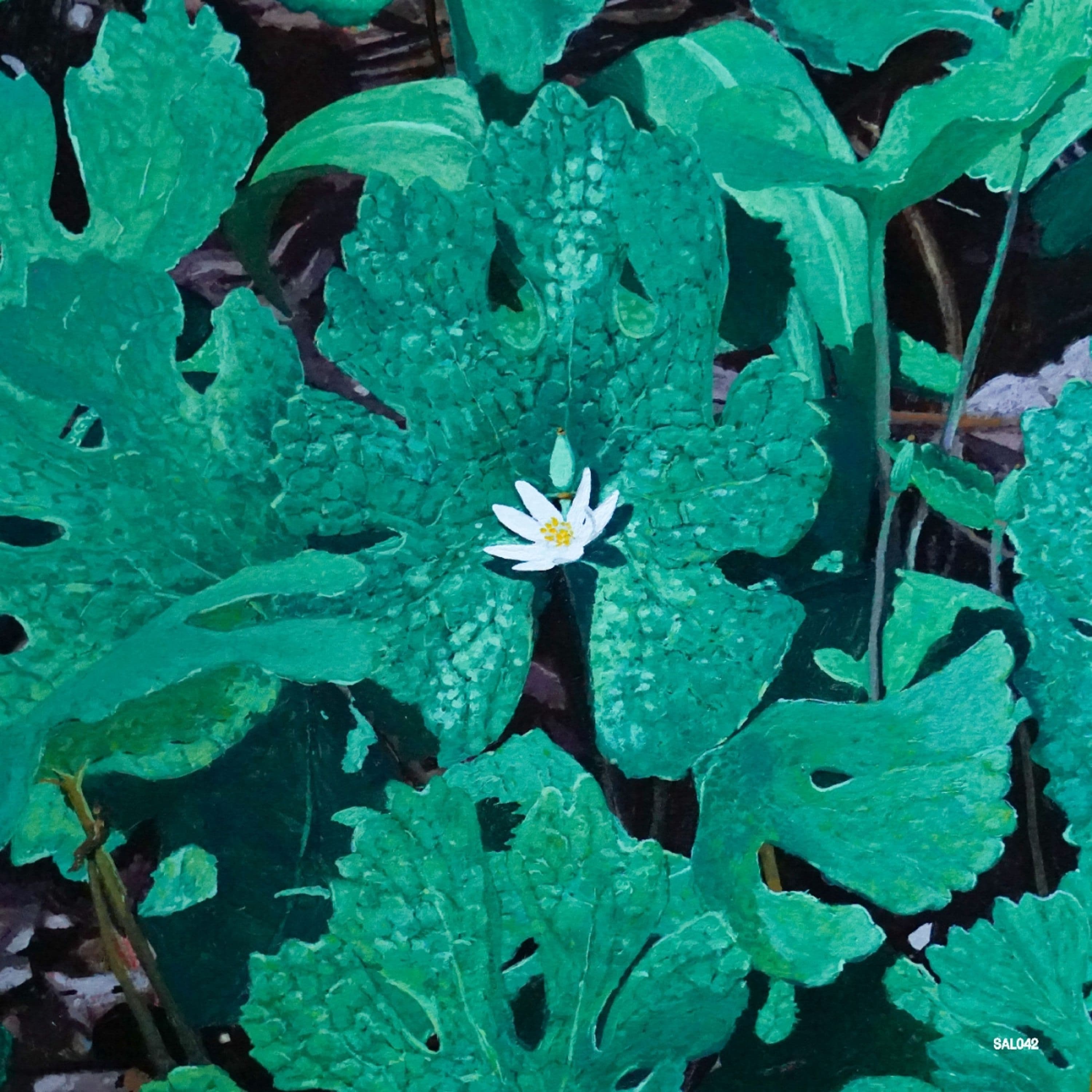 Vinyl Early Fern - WETLAND INTERIORS