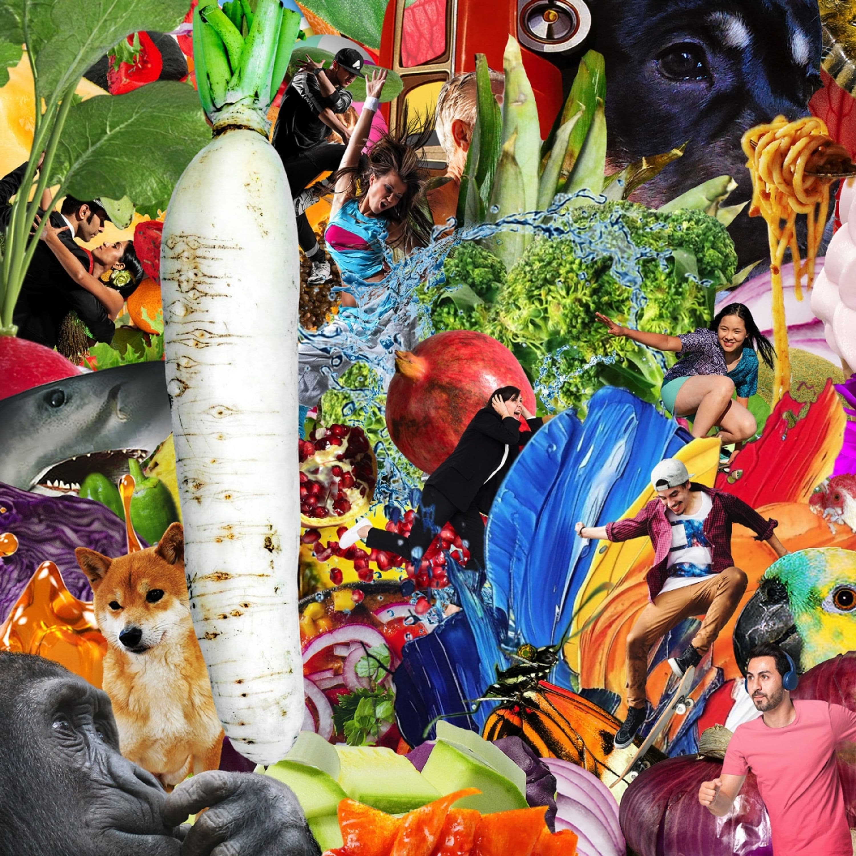 CD Jetski - THE RADIANT RADISH