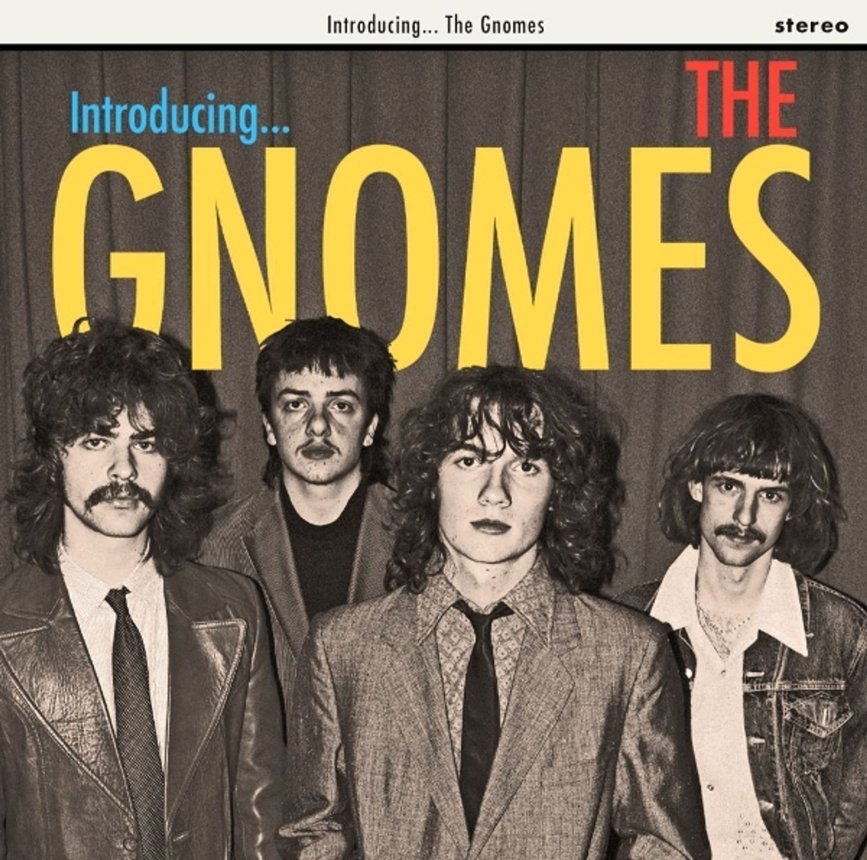 Vinyl Gnomes - GNOMES
