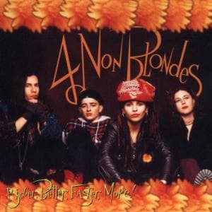 CD 4 Non Blondes - BIGGER, BETTER, FASTER, MO