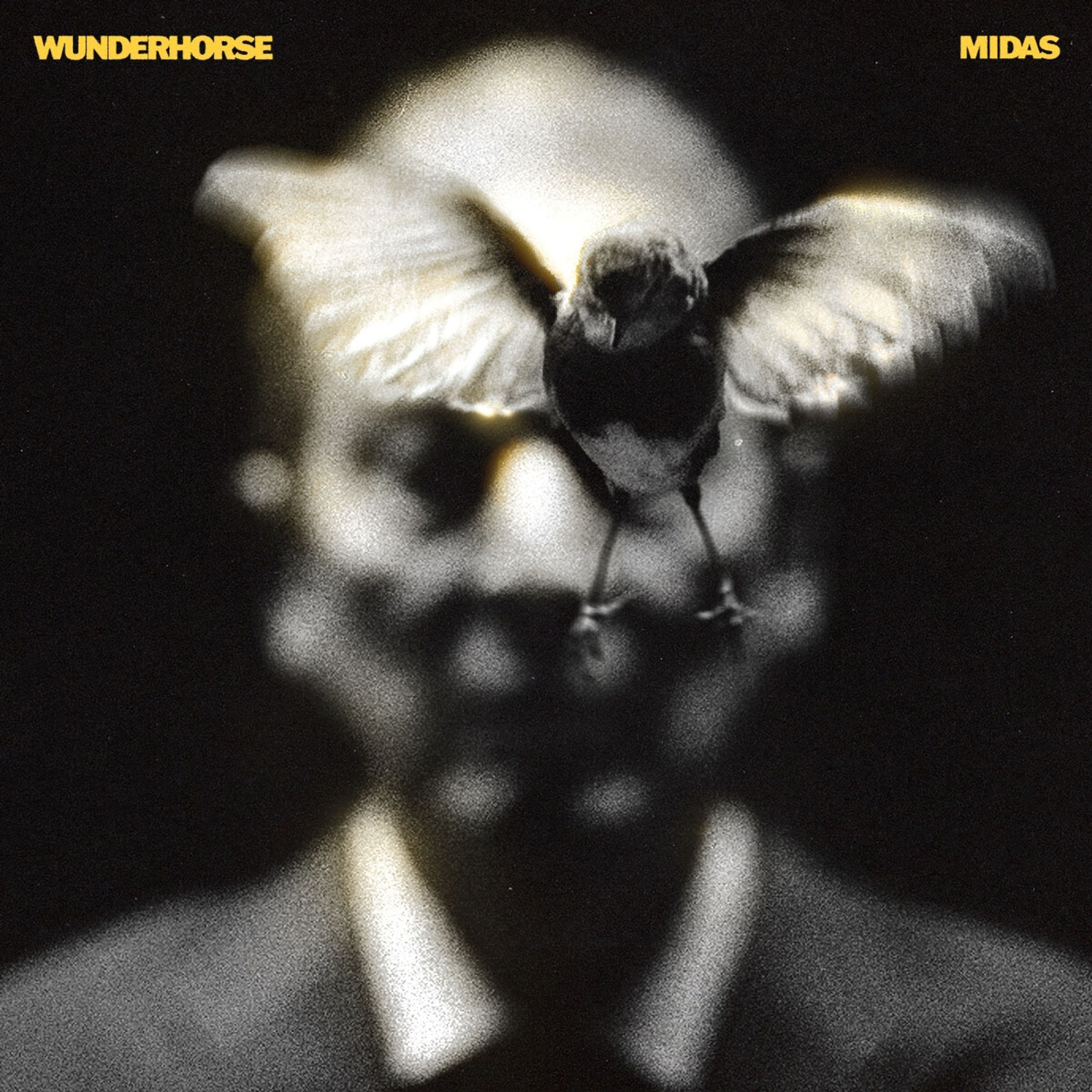 CD Wunderhorse - MIDAS