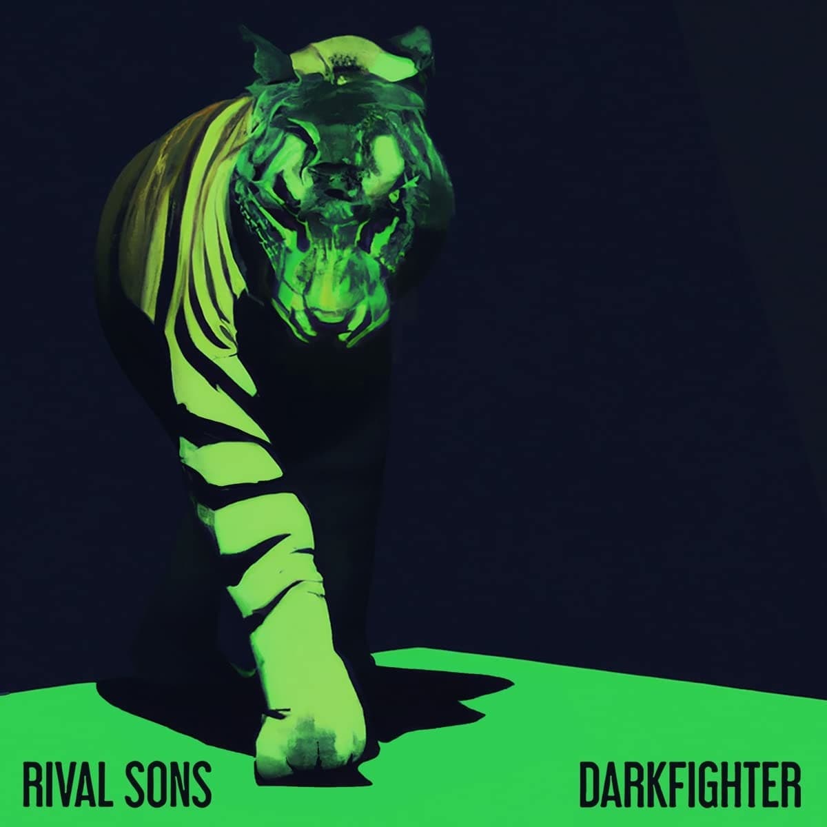 CD Rival Sons - DARKFIGHTER