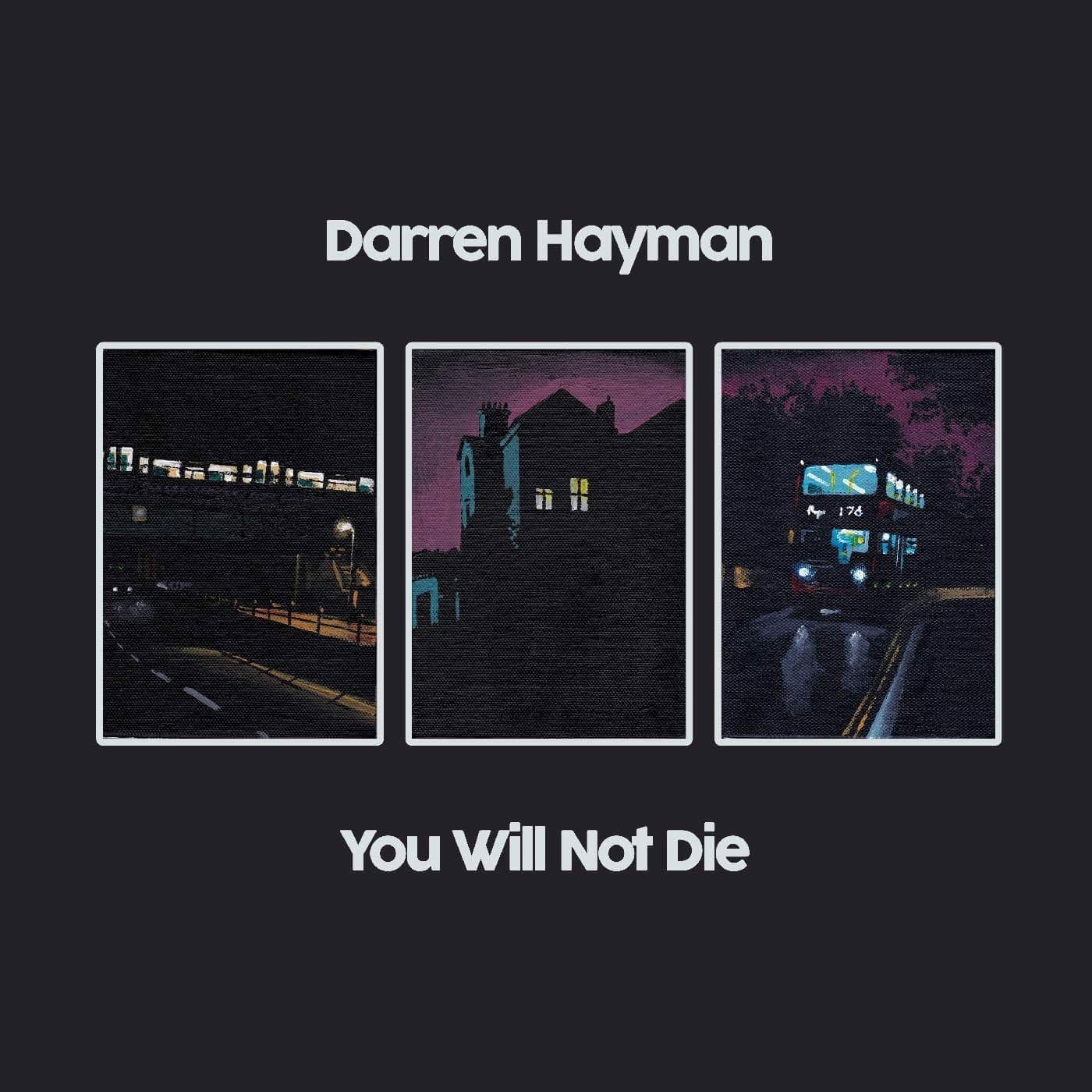 Vinyl Darren Hayman - YOU WILL NOT DIE