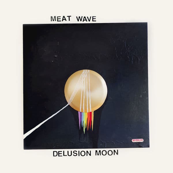 Vinyl Meat Wave - DELUSION MOON