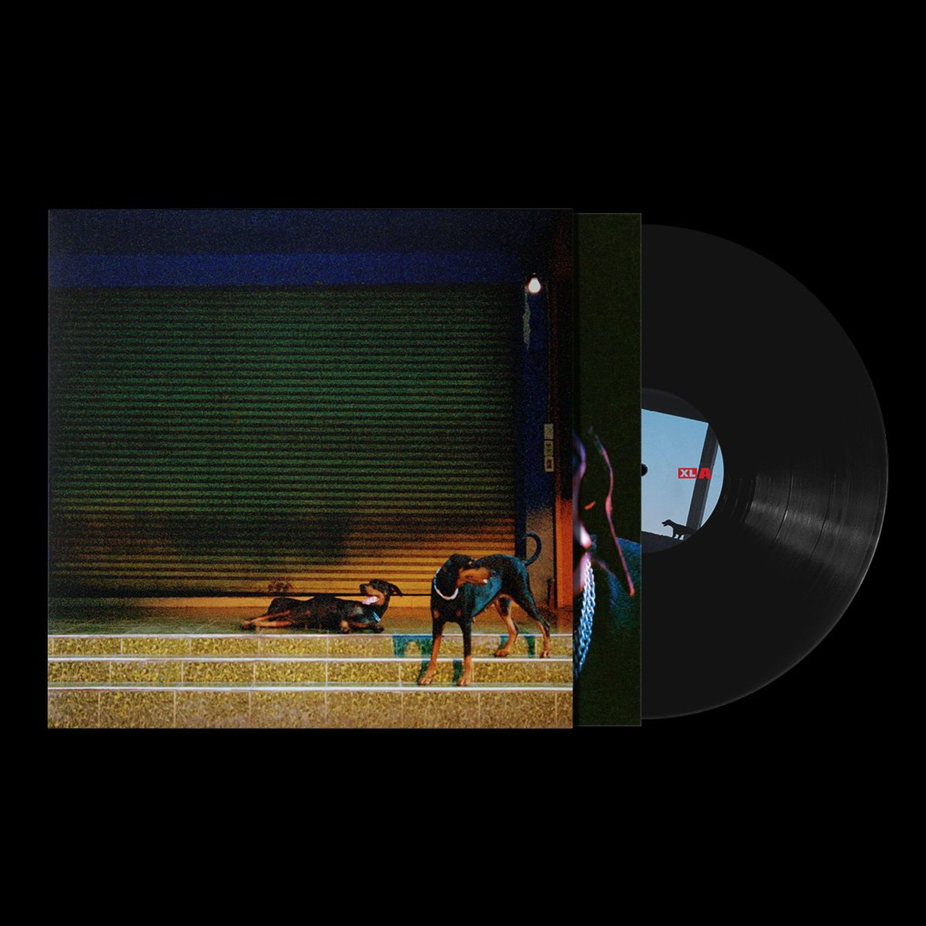 Vinyl Overmono - PURE DEVOTION