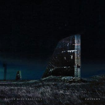 CD Galya Bisengalieva - POLYGON