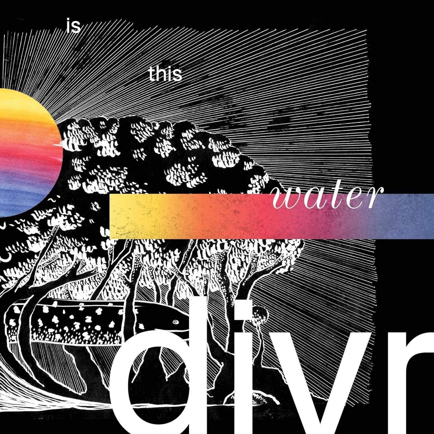 CD DIVR - IS THIS WATER