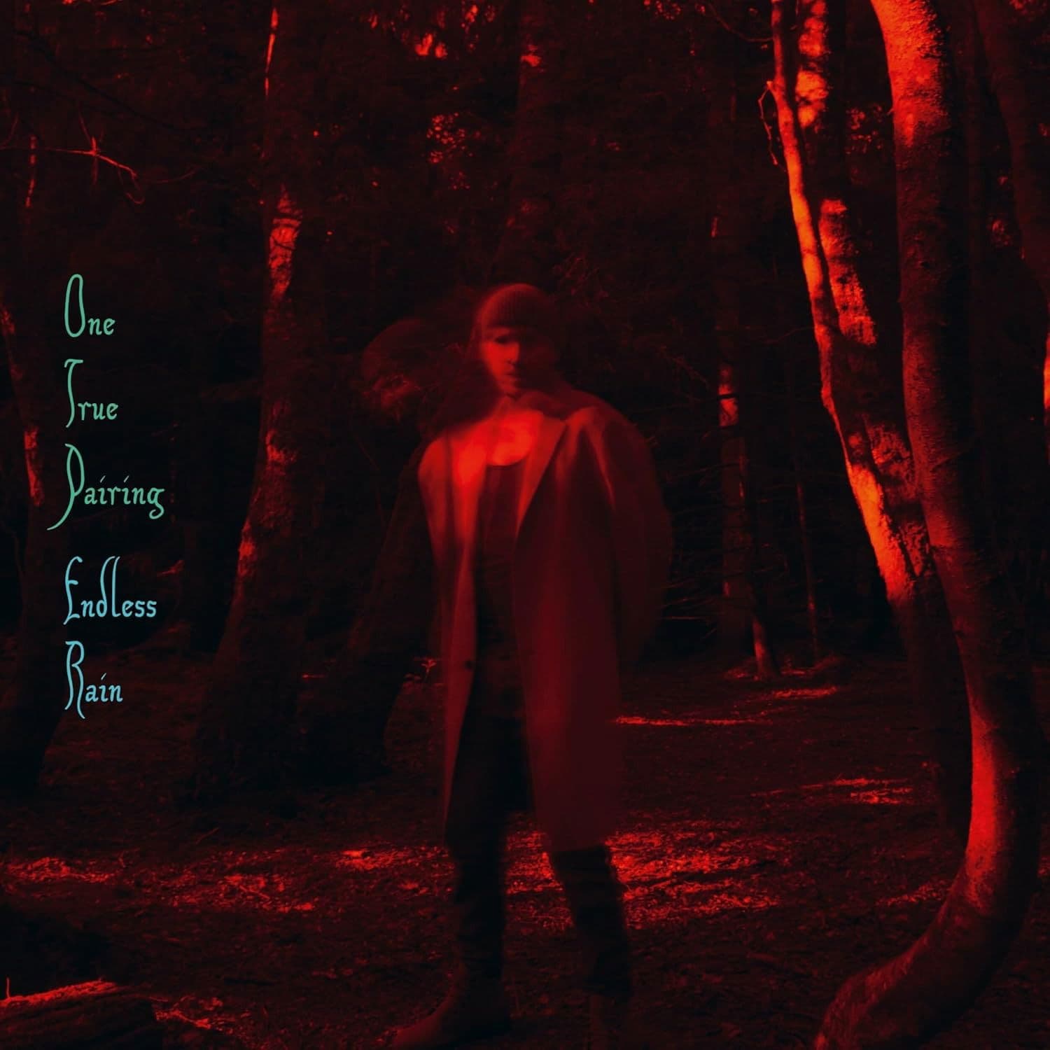 CD One True Pairing - ENDLESS RAIN