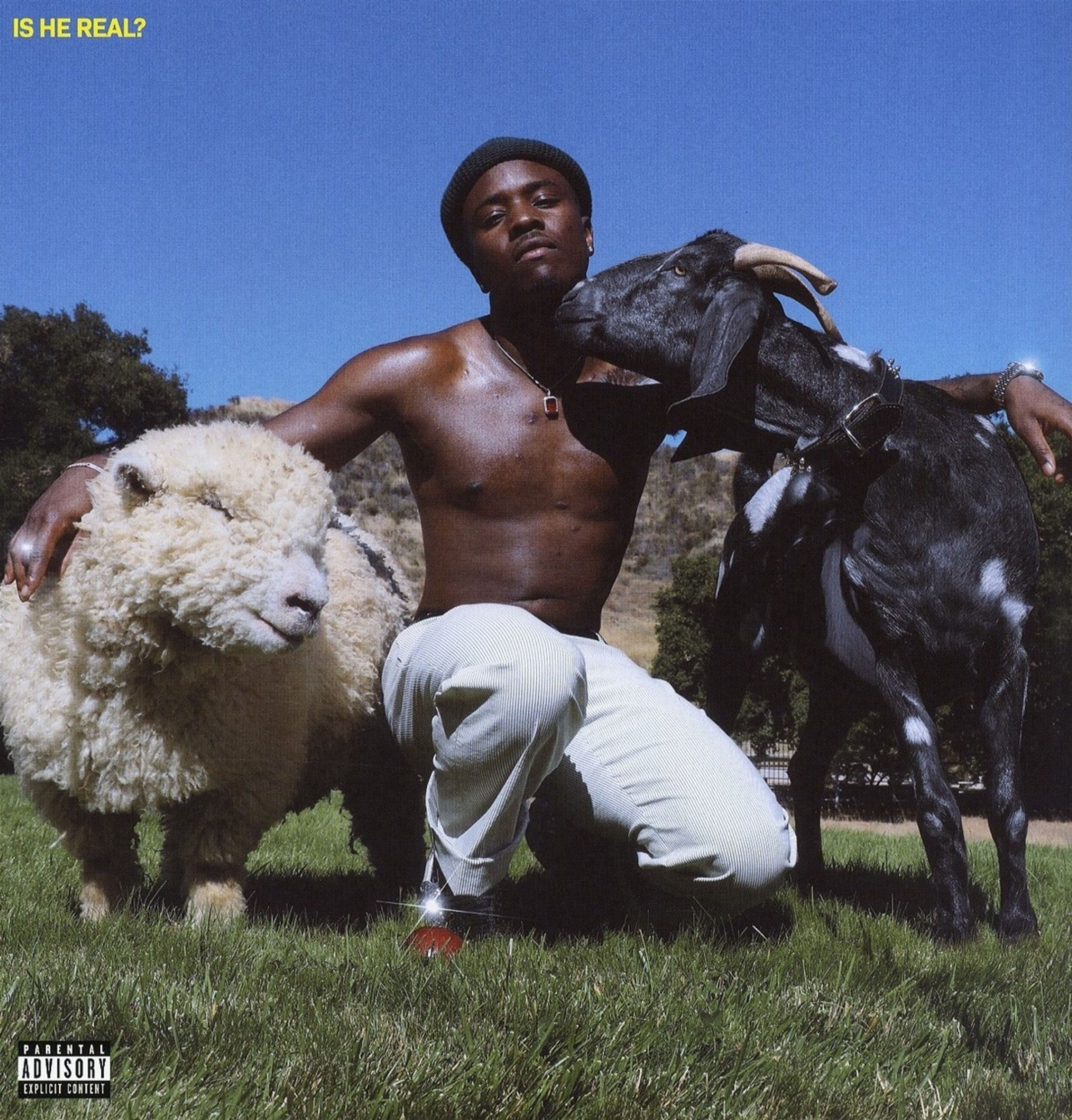Vinyl IDK - IS HE REAL?