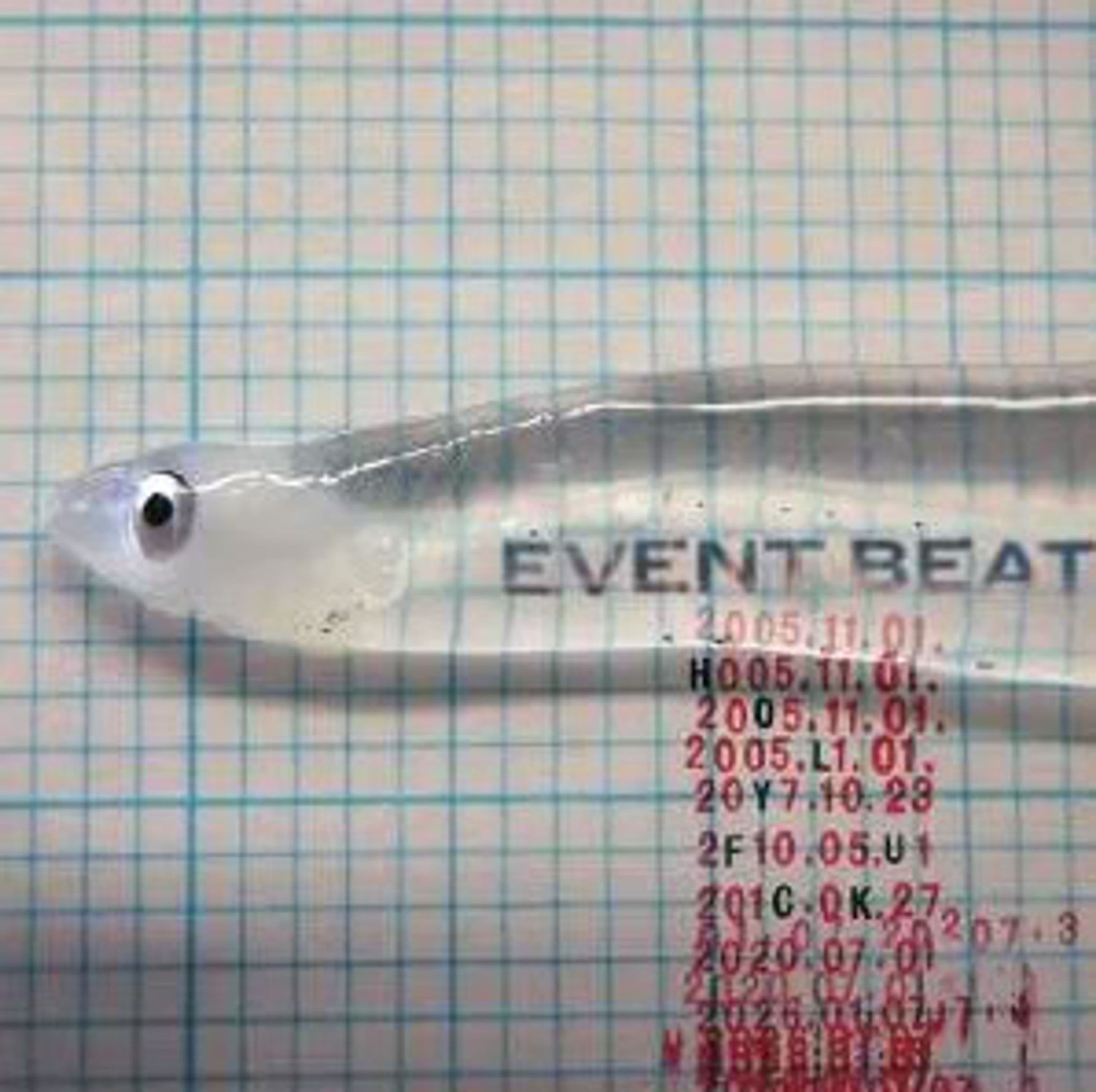 Vinyl Holy Fuck - EVENT BEAT