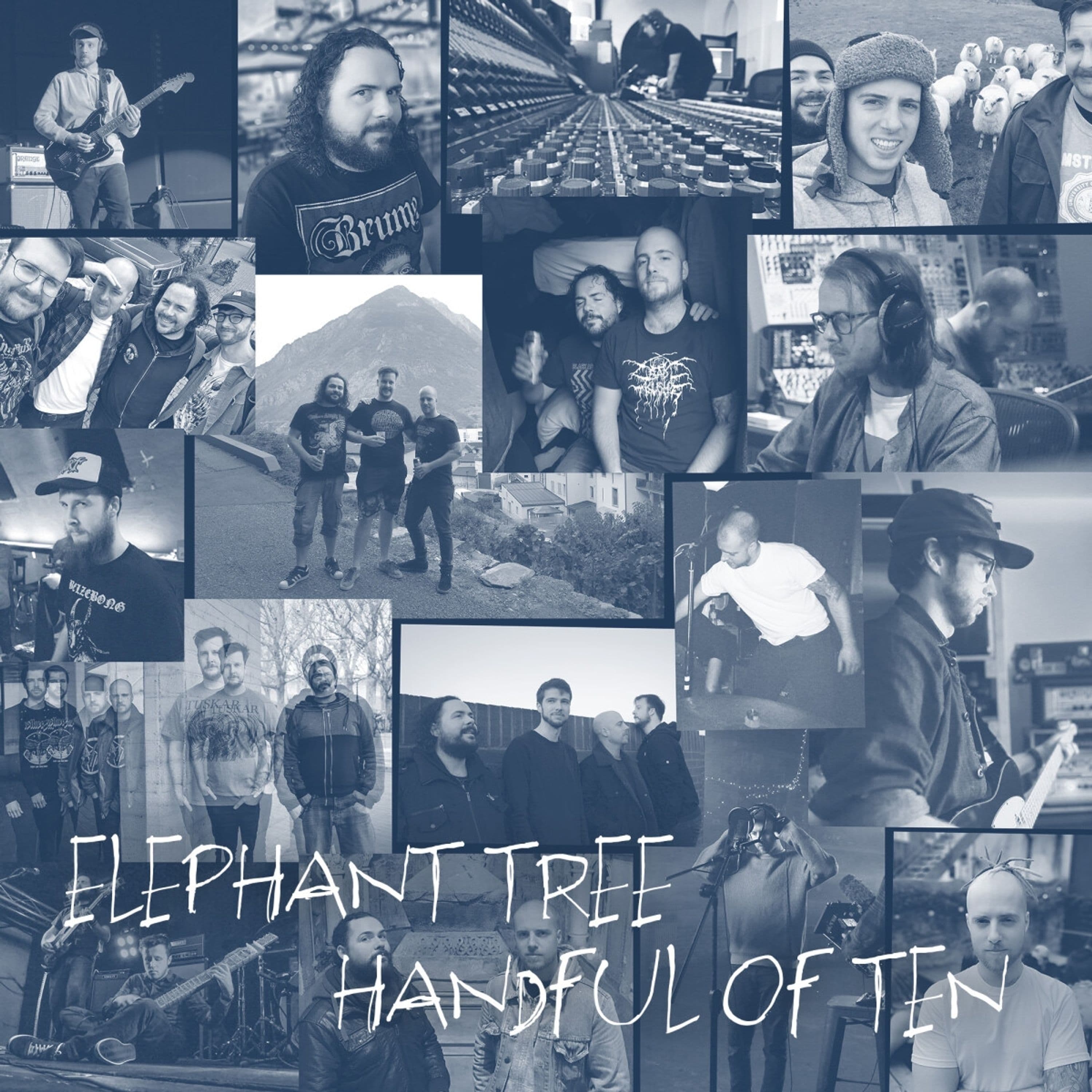 CD Elephant Tree - HANDFUL OF TEN