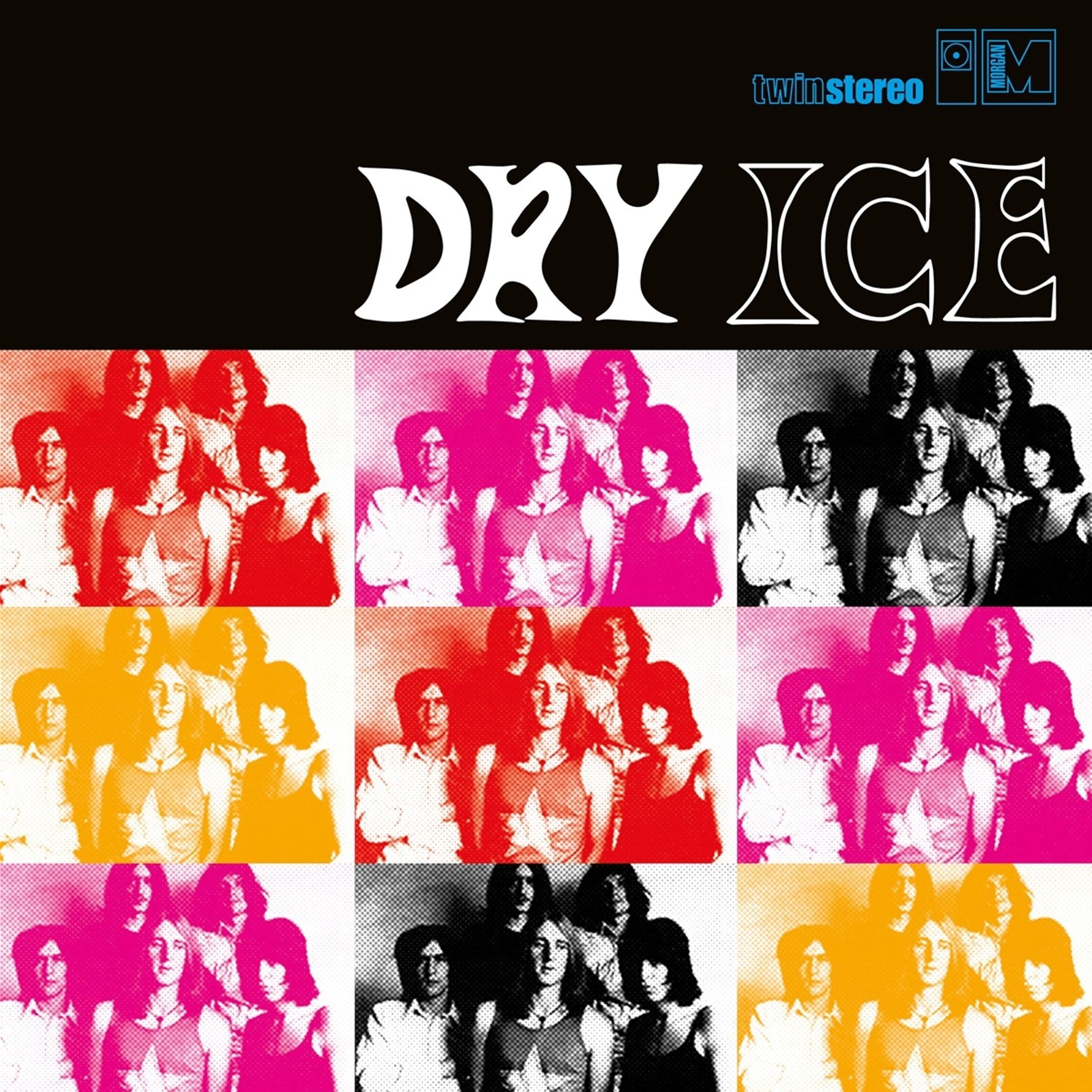 Vinyl - DRY ICE