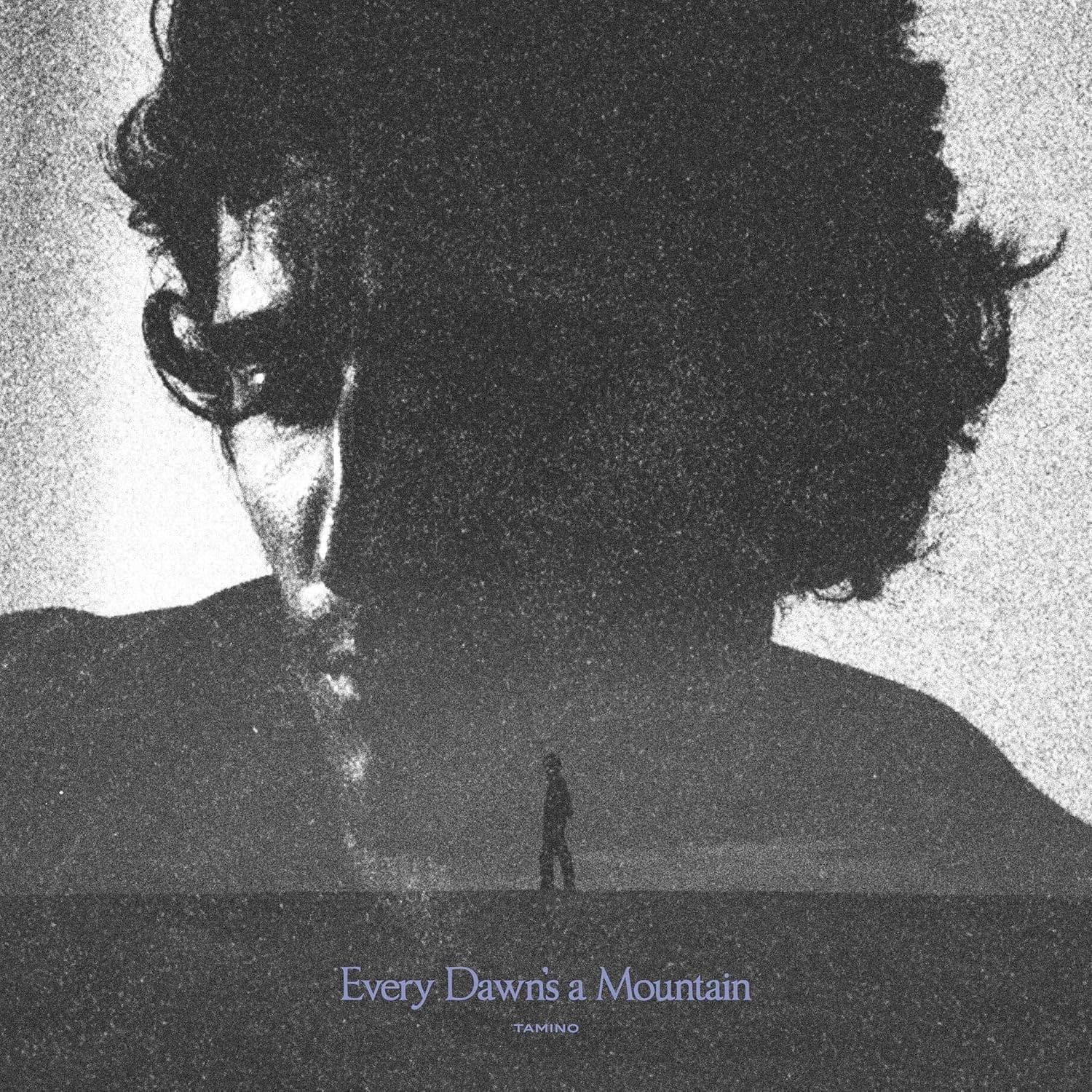 Vinyl Tamino - EVERY DAWN'S A MOUNTAIN