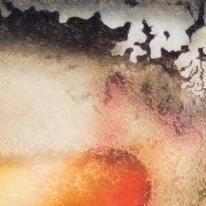 Vinyl Multicast Dynamics - SCAPE