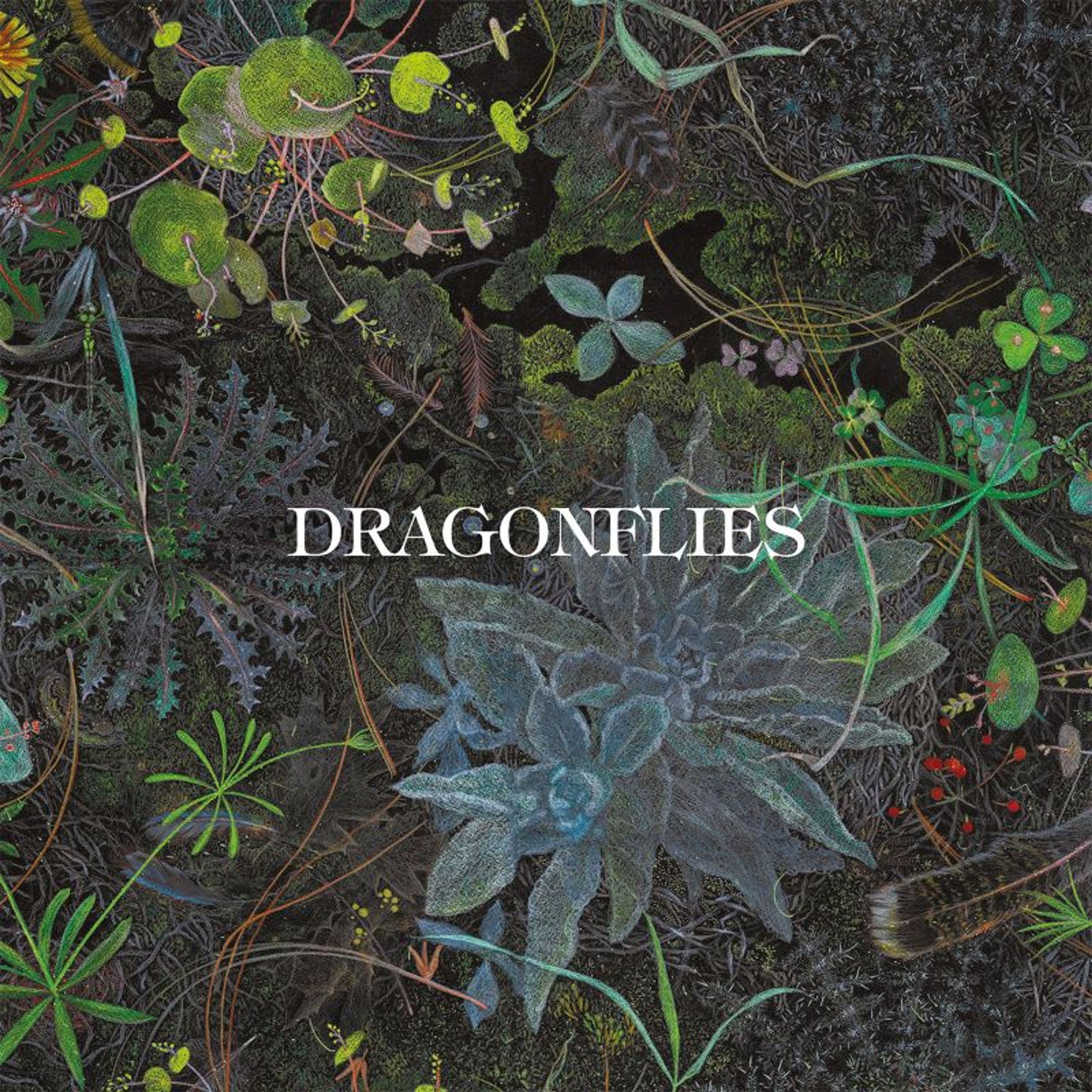 CD - DRAGONFLIES