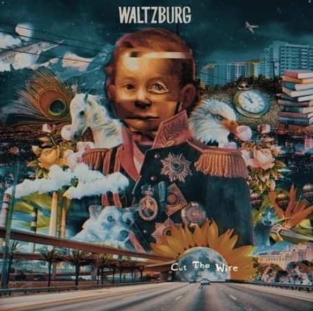 Vinyl Waltzburg - CUT THE WIRE