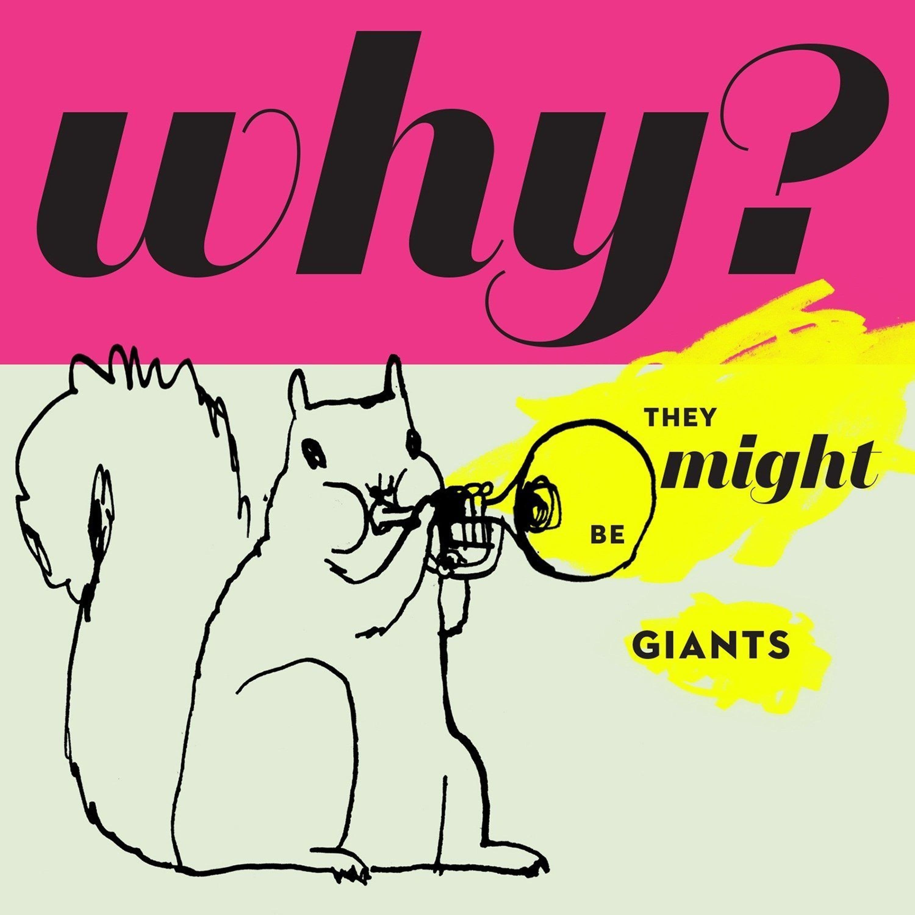 CD They Might Be Giants - WHY?