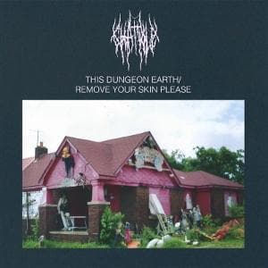 Vinyl Chat Pile - THIS DUNGEON EARTH / REMOVE YOUR SKIN PLEASE