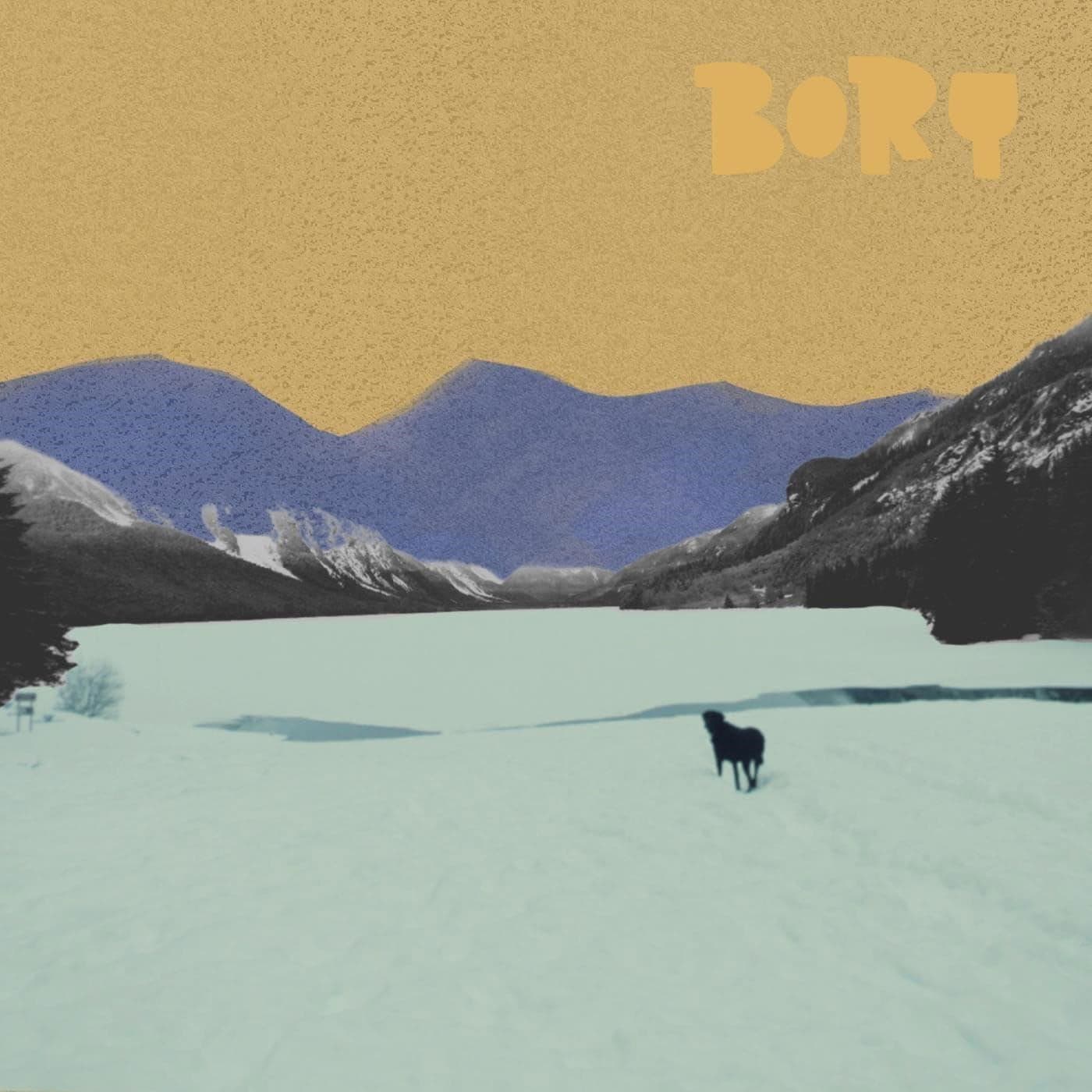 Vinyl Bory - WHO'S A GOOD BOY