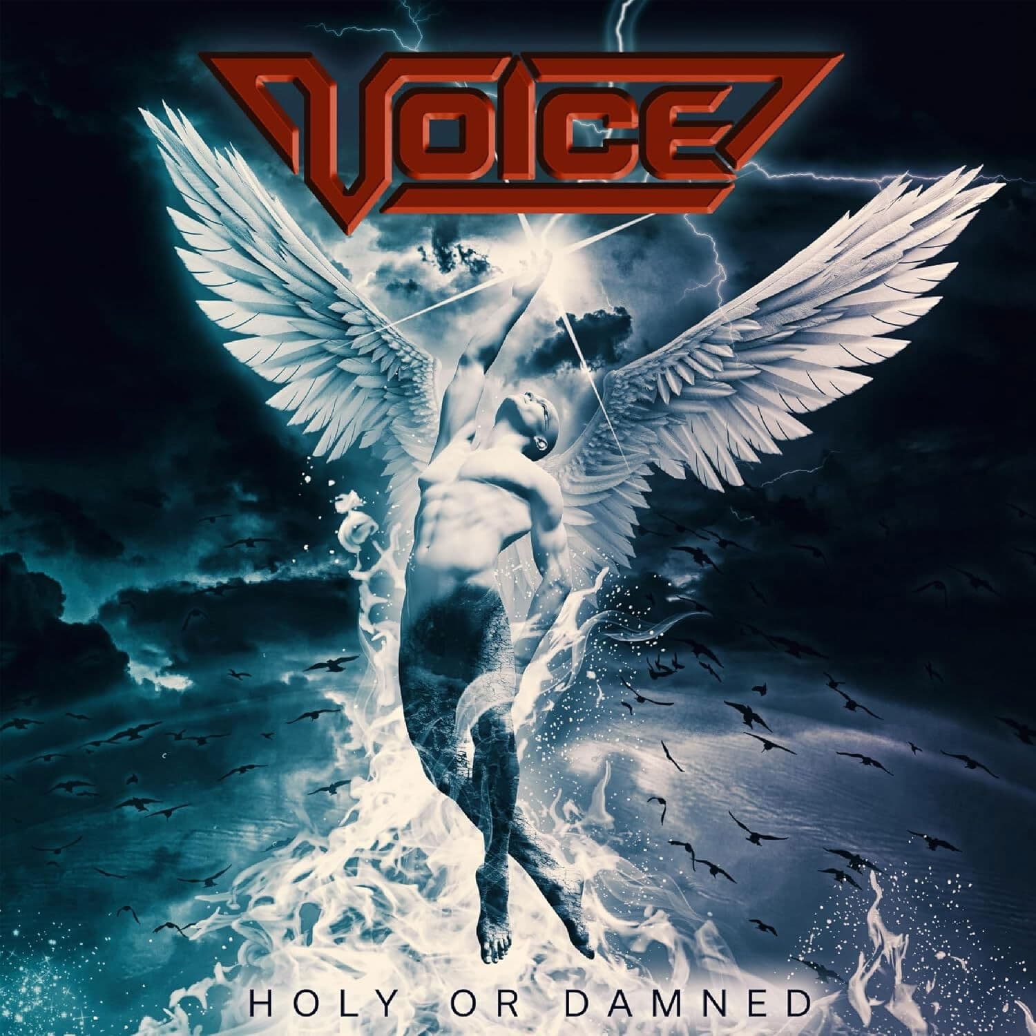 Vinyl Voice - HOLY OR DAMNED