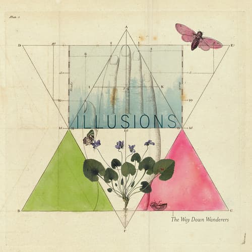 CD The Way Down Wanderers - ILLUSIONS