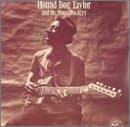 Vinyl Hound Dog Taylor and the HouseRockers - AND THE HOUSEROCKERS