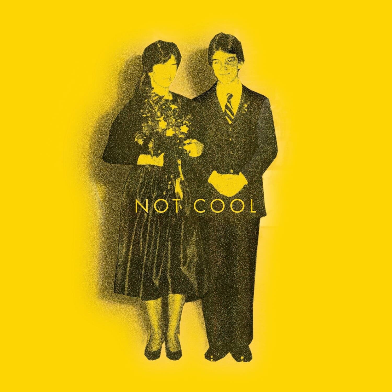 Vinyl Tim Easton - NOT COOL