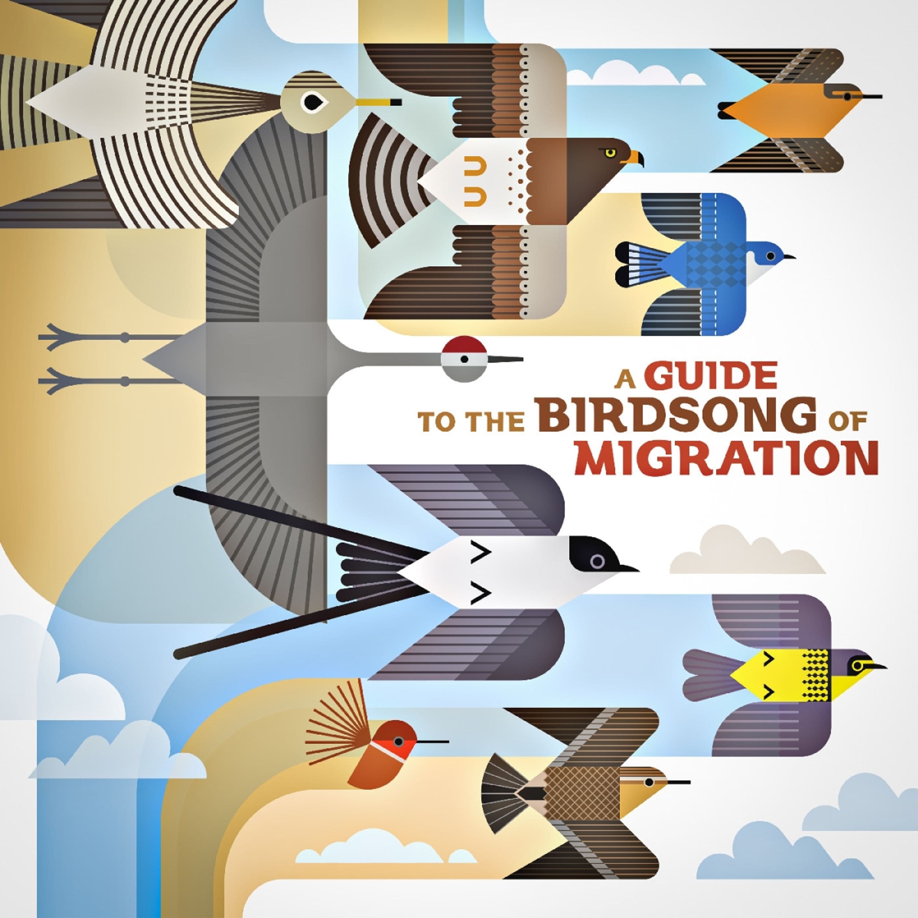 CD Various Artists - A GUIDE TO THE BIRDSONG OF MIGRATION