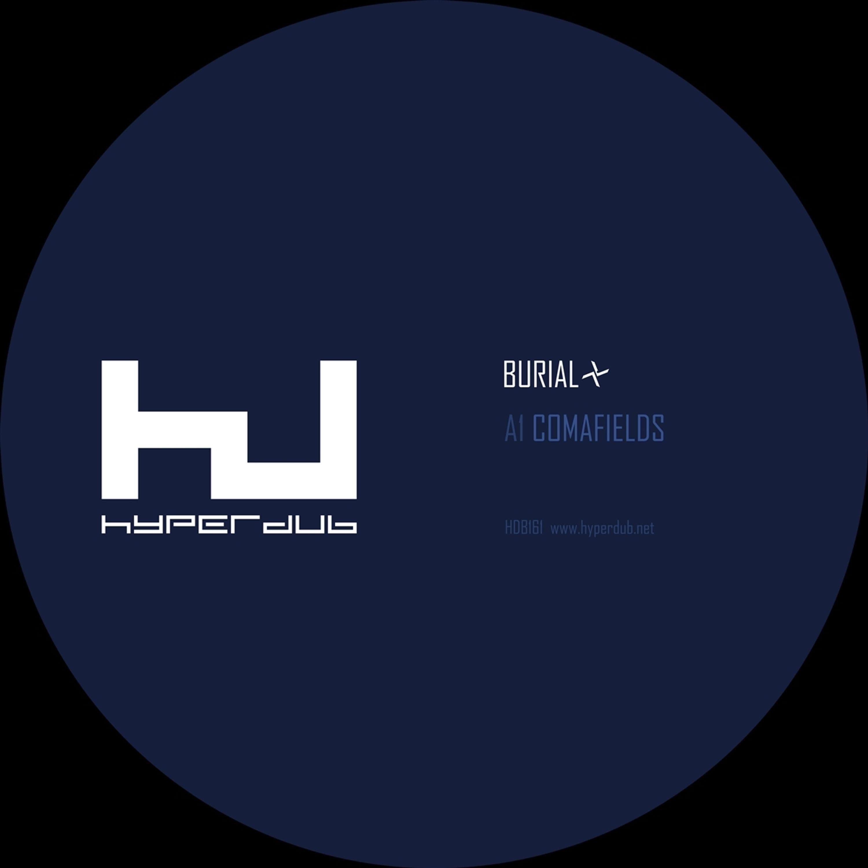 Vinyl Burial - COMAFIELDS