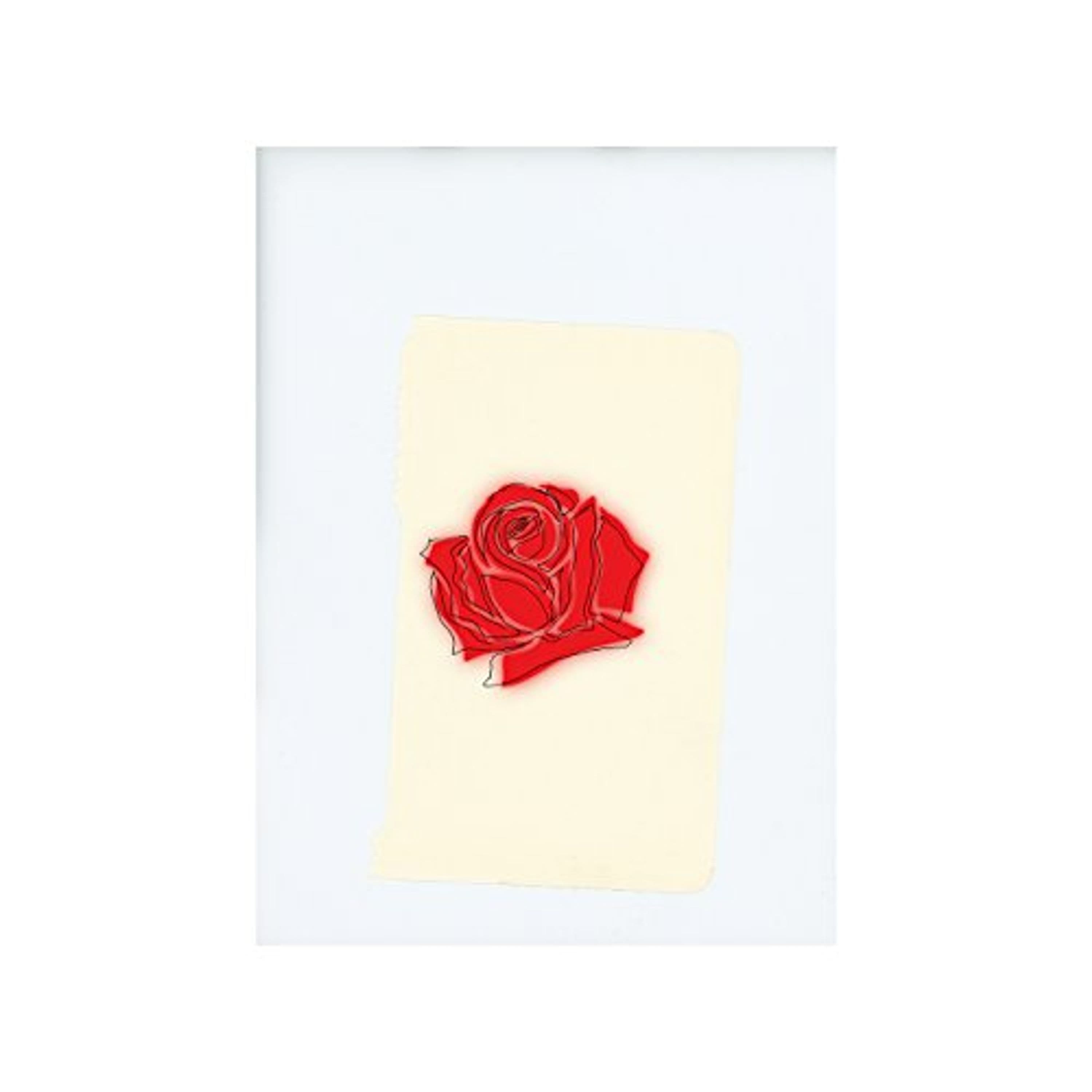 Vinyl LANY - Lany - Lany