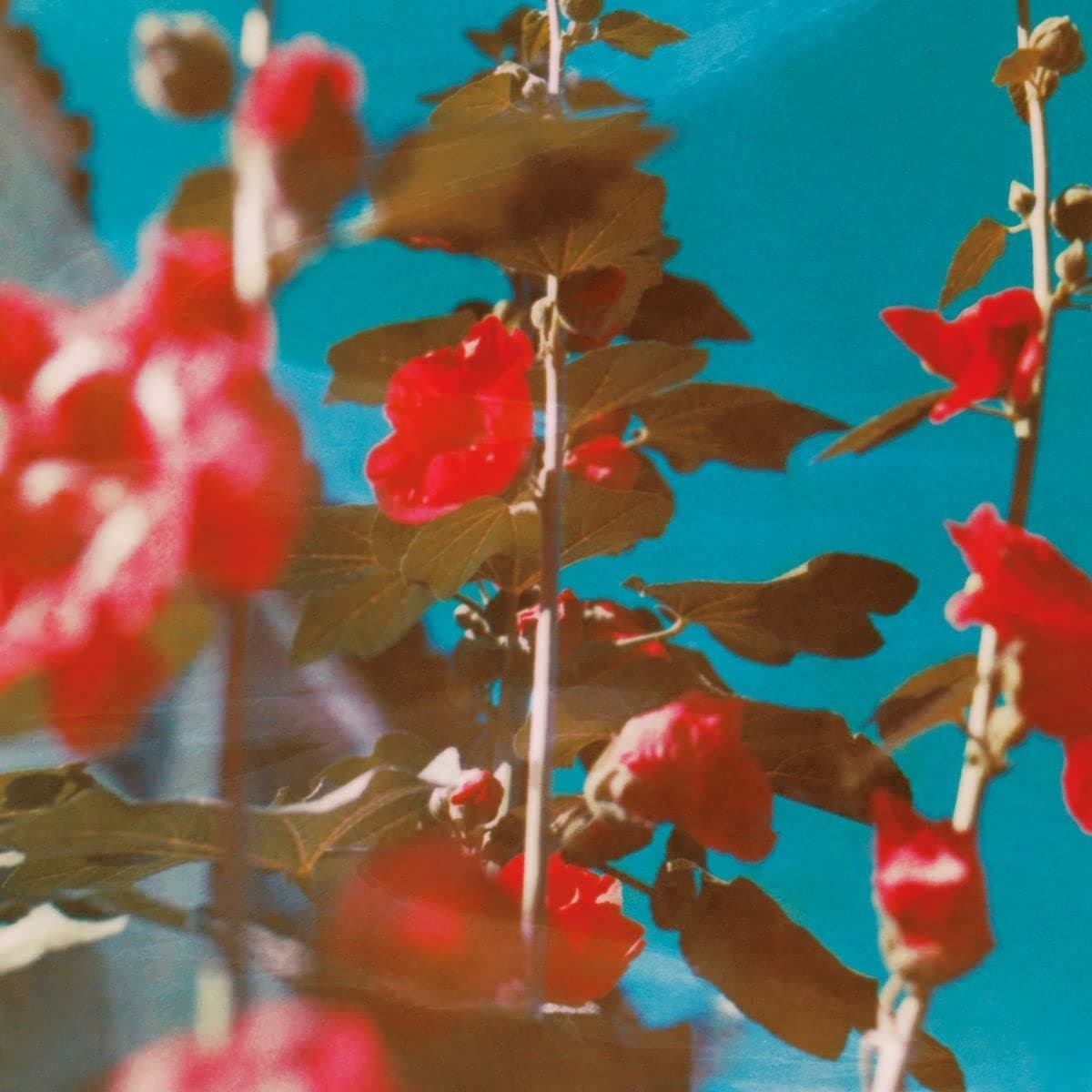 CD Chad Lawson - breathe