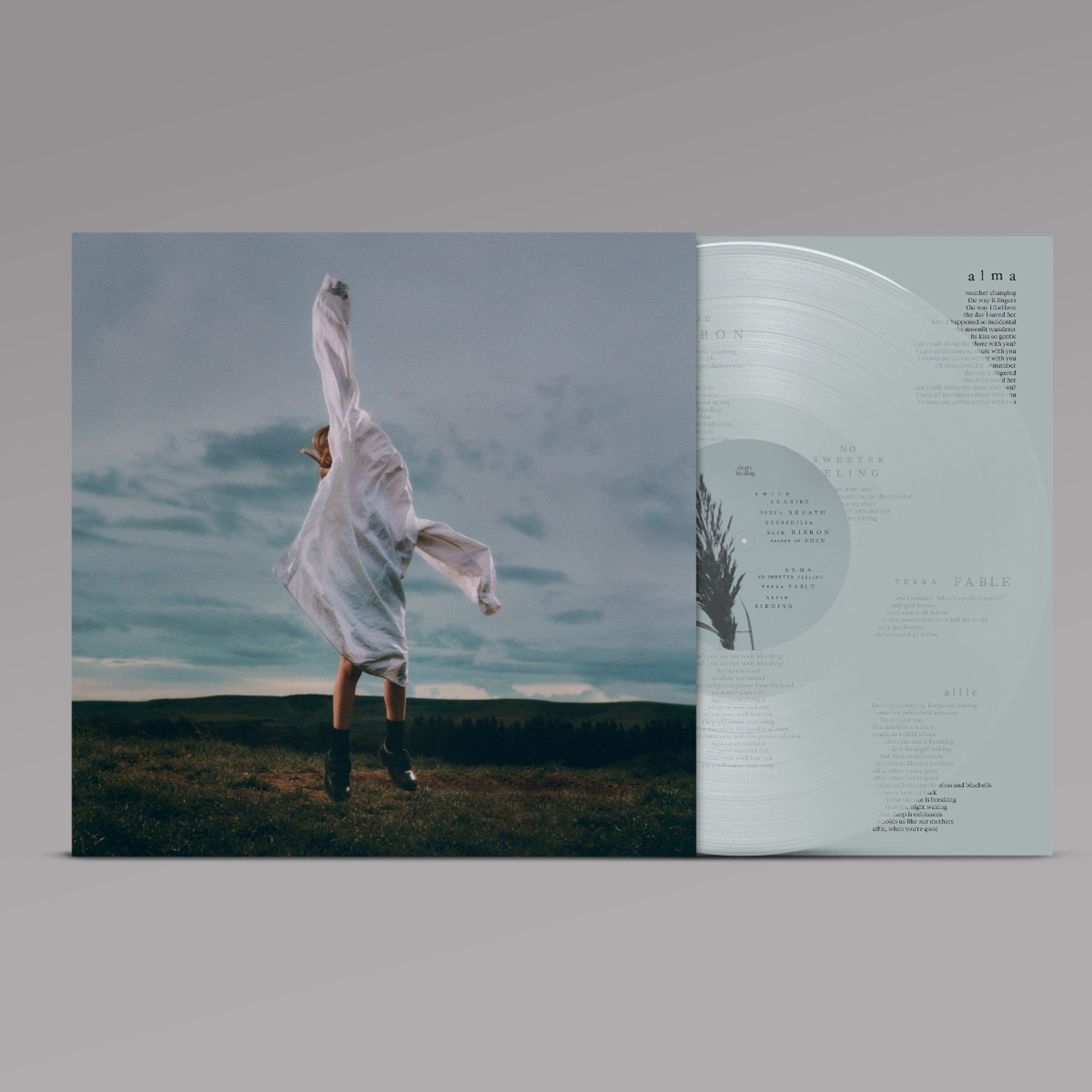 Vinyl deary - BIRDING