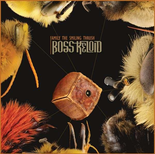 Vinyl Boss Keloid - FAMILY THE SMILING THRUSH