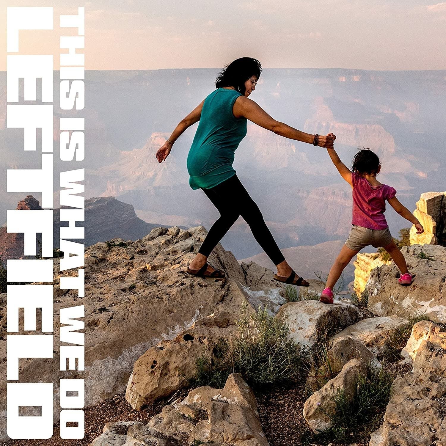 Vinyl Leftfield - This Is What We Do