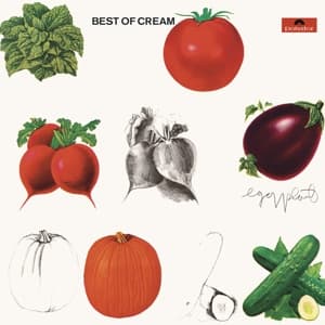 Vinyl Cream - BEST OF CREAM