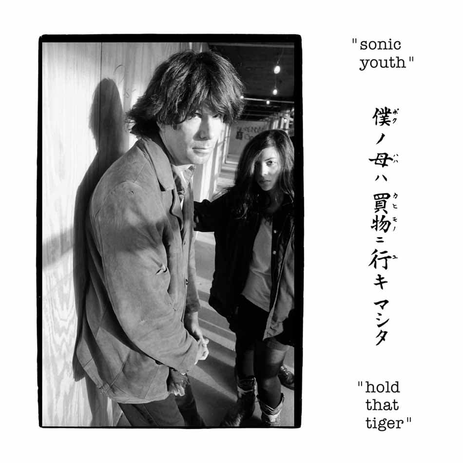 Vinyl Sonic Youth - HOLD THAT TIGER
