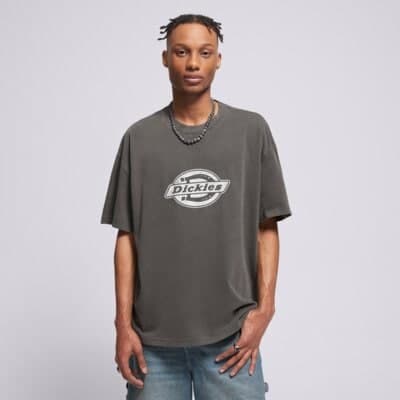 Dickies Plainville Ss Tee Sivá EUR L