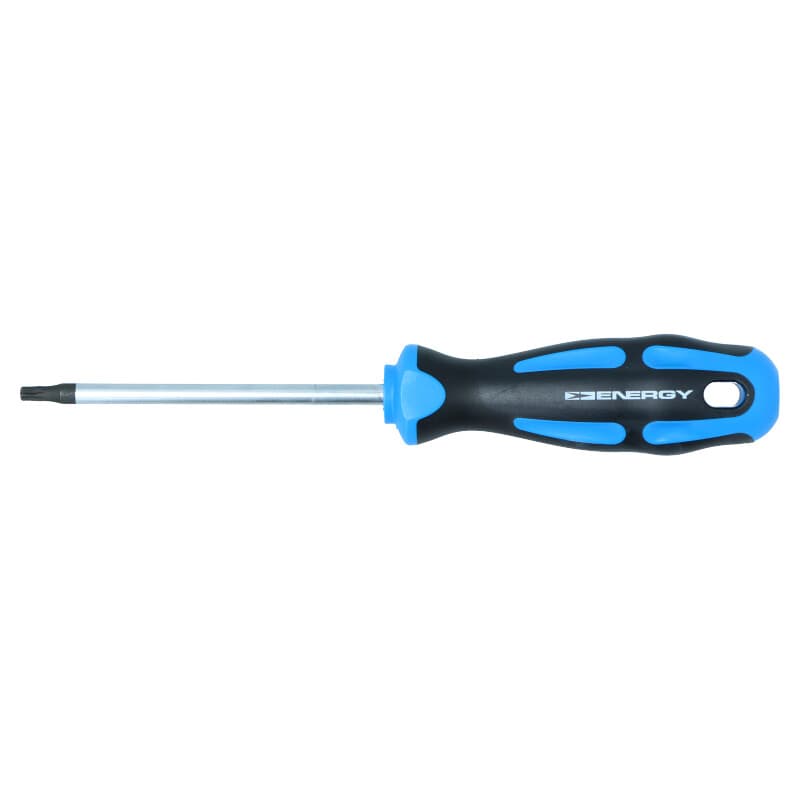 ENERGY Skrutkovač TORX T25X100MM NE01315