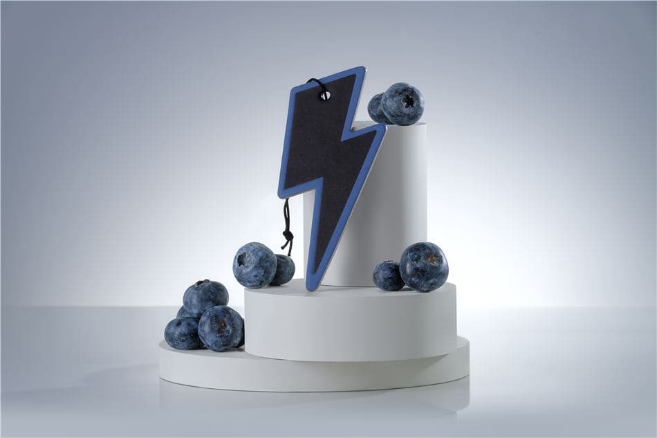 Osviežovač vzduchu ZEOS Blueberry
