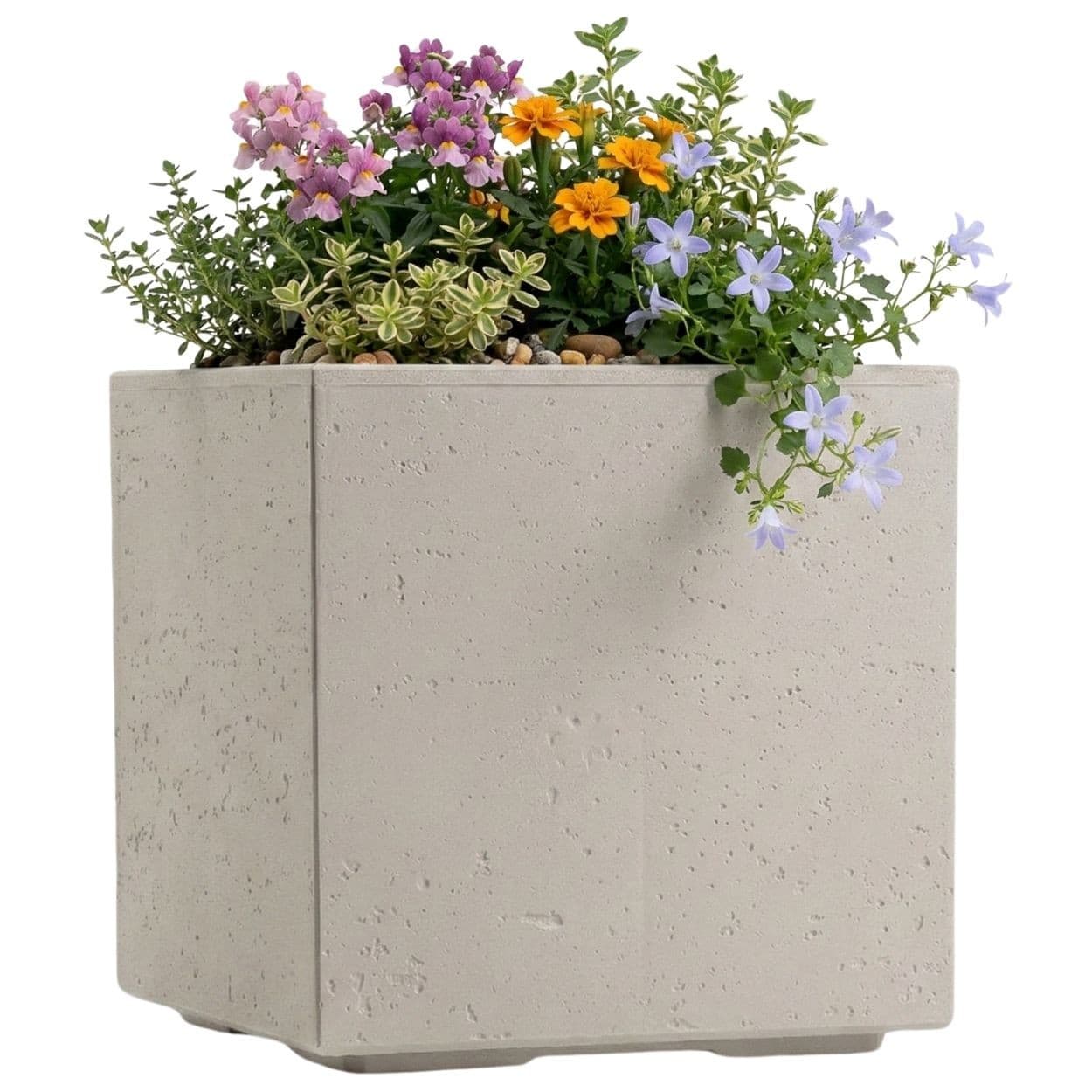 Kvetináč na kolieskach BETONIQUE 30x30 cm betón - výber z 7 prevedení