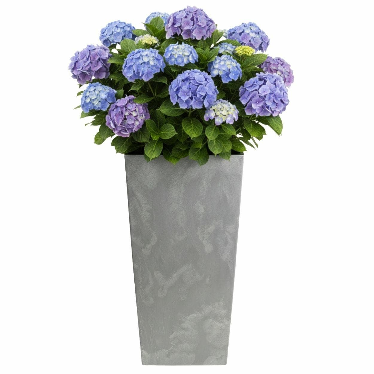 Kvetináč Porto 75x39,6 cm sivý betón