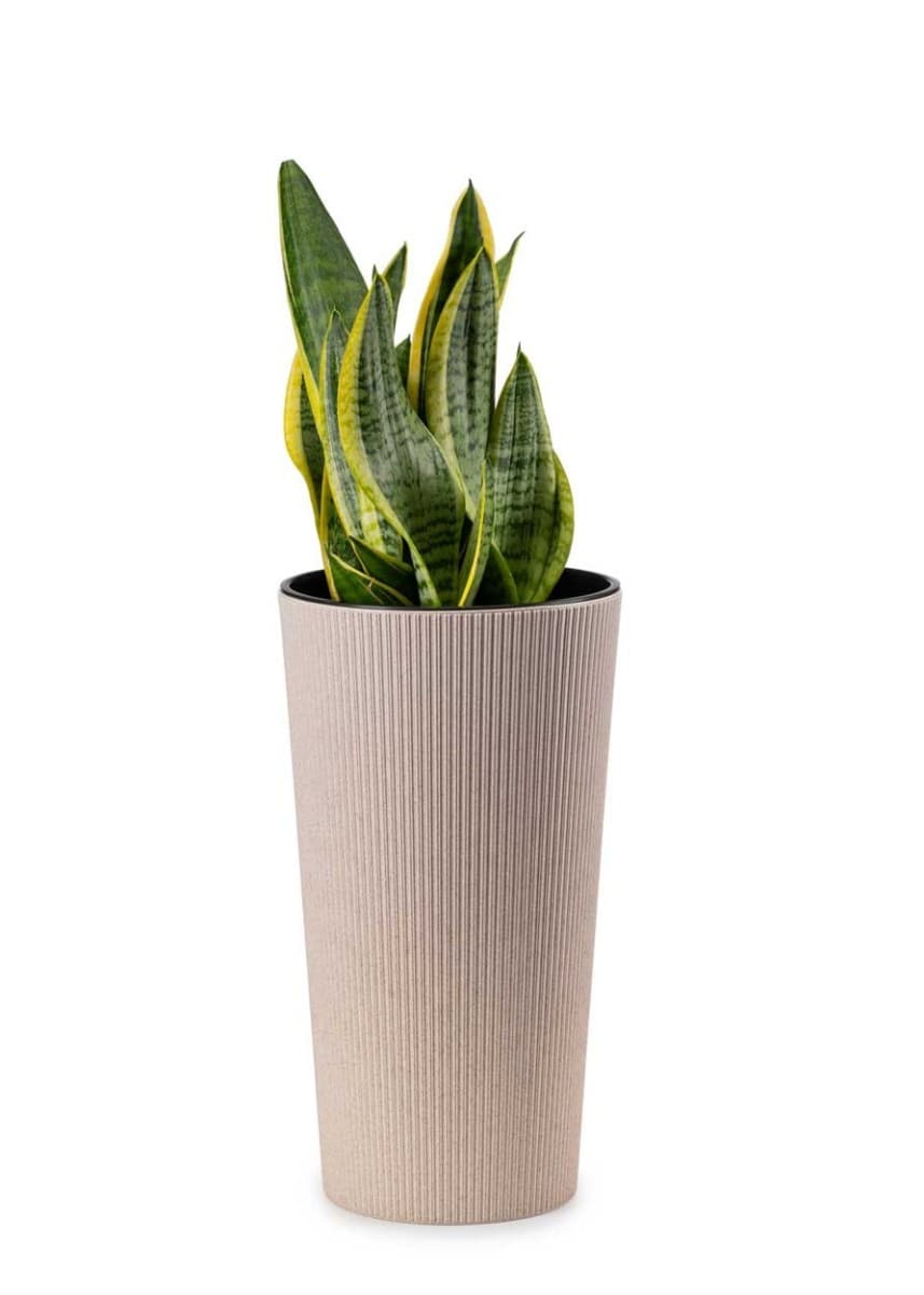 Kvetináč URBANIKA ECO Wood 36,4x19,6 cm biely
