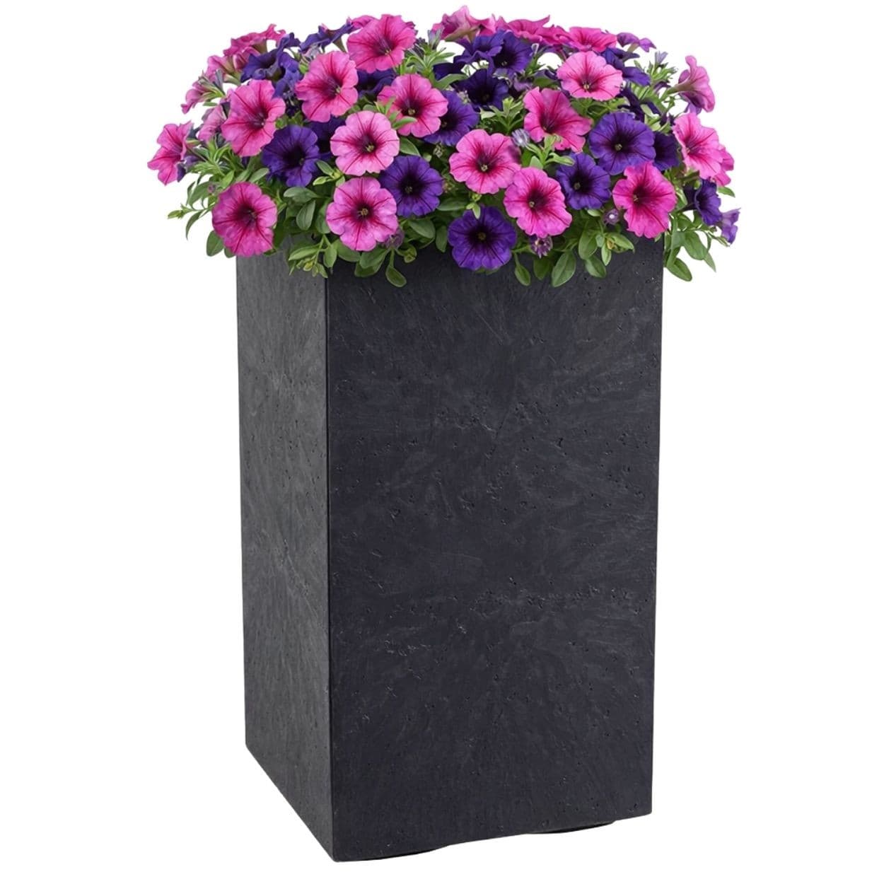 Kvetináč na kolieskach BETONIQUE 30x60 cm - výber z 5 prevedení