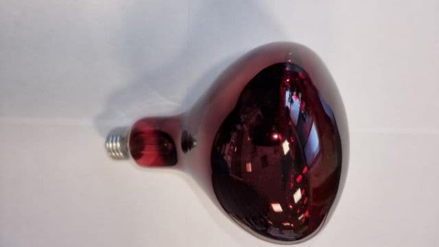 Kinekus Žiarovka výhrevná 250W tmavo červená GAUN