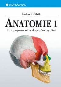 Anatomie 1 - 3. vydání - Čihák Radomír