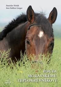 Pocta moravskému teplokrevníkovi - Hošák, Dalibor Gregor Stanislav