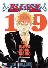 Bleach 19 - Kubo Tite
