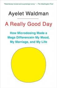 A Really Good Day - Ayelet Waldman, Anchor Books